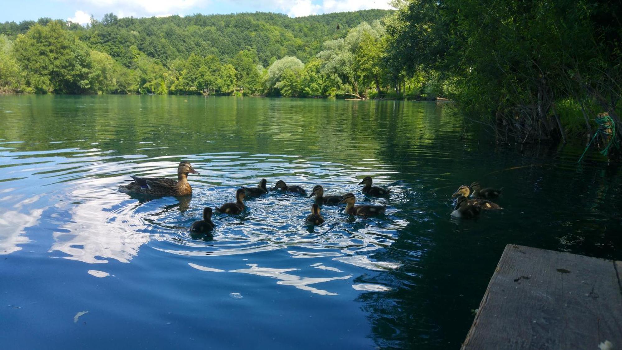 Fortuna Holiday Home Bihać Екстериор снимка