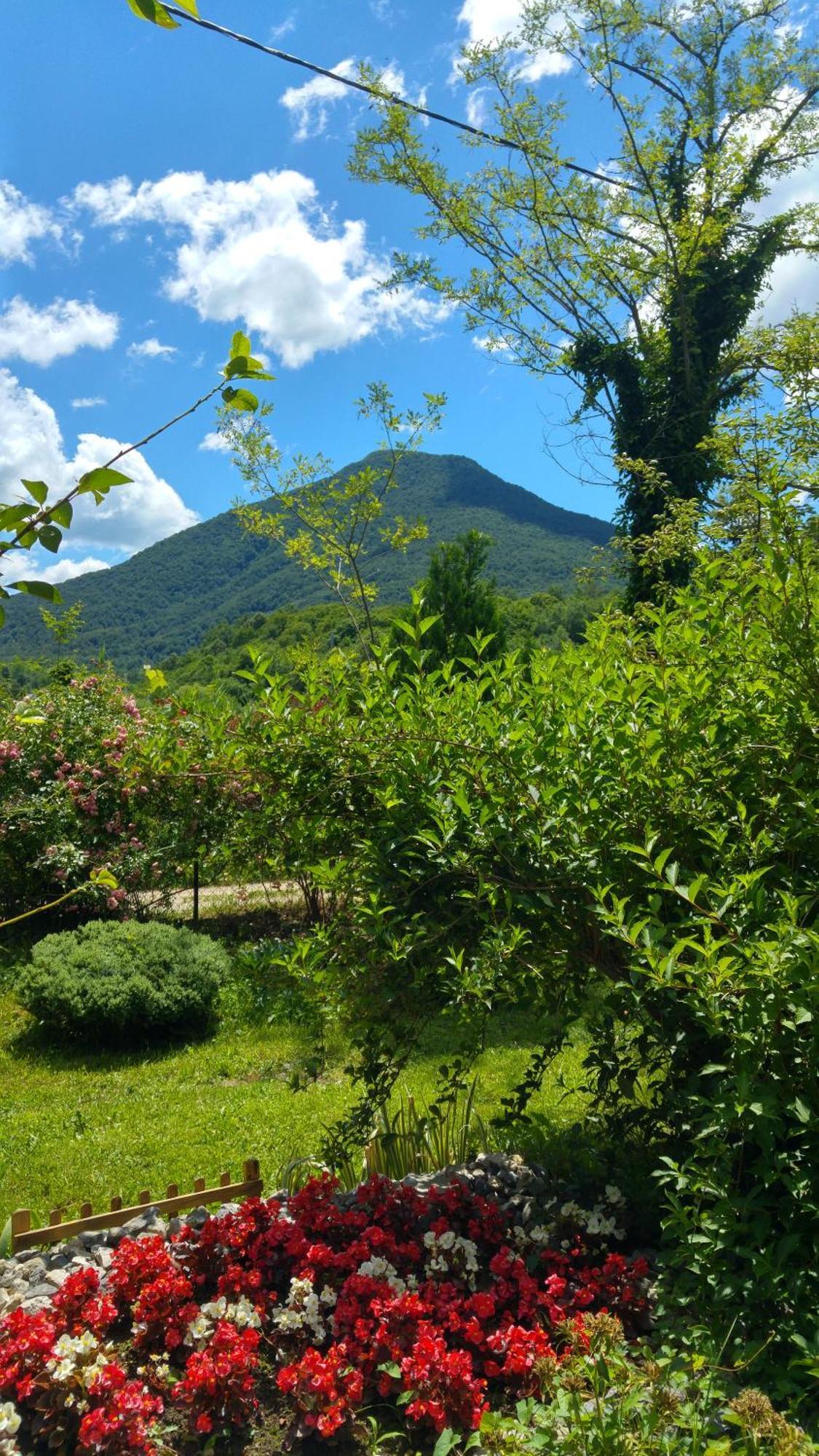 Fortuna Holiday Home Bihać Екстериор снимка